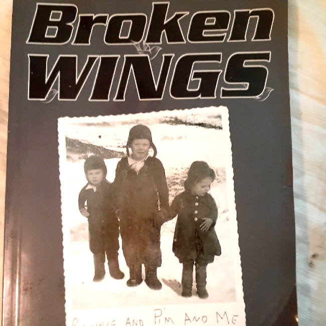 Broken Wings By Clarissa Smith